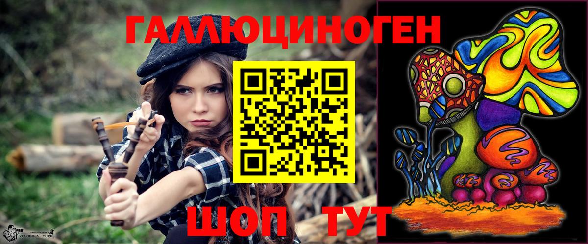 Галлюциногенные грибы Psilocybine cubensis  Вход с VPN  наркота  Видное  Галлюциногенные грибы Psilocybine cubensis 