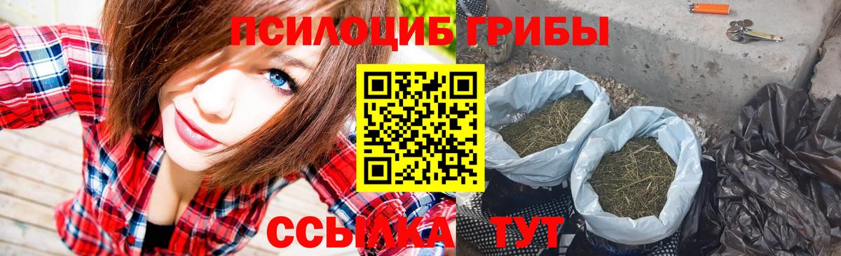 Галлюциногенные грибы Psilocybine cubensis Видное